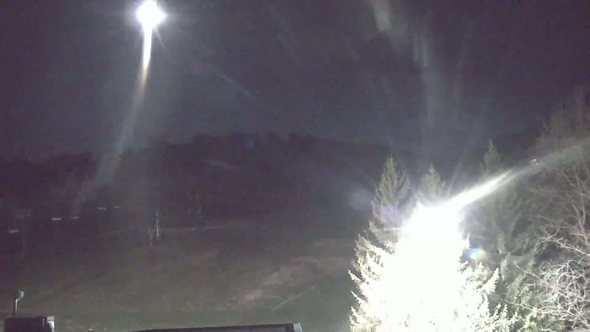 Two bright beams of light illuminate a dark, nighttime scene of trees and a flat expanse of land.