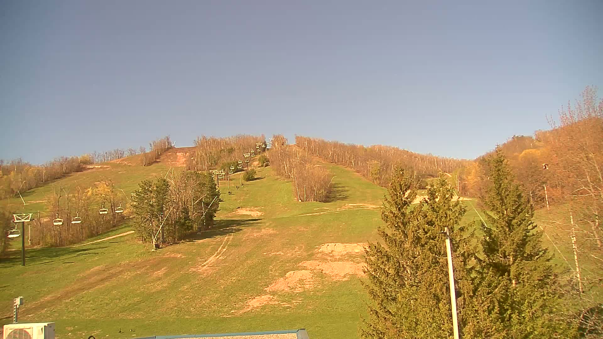 A grassy hillside with a chairlift and sparsely-leafed trees under a clear, light blue sky.