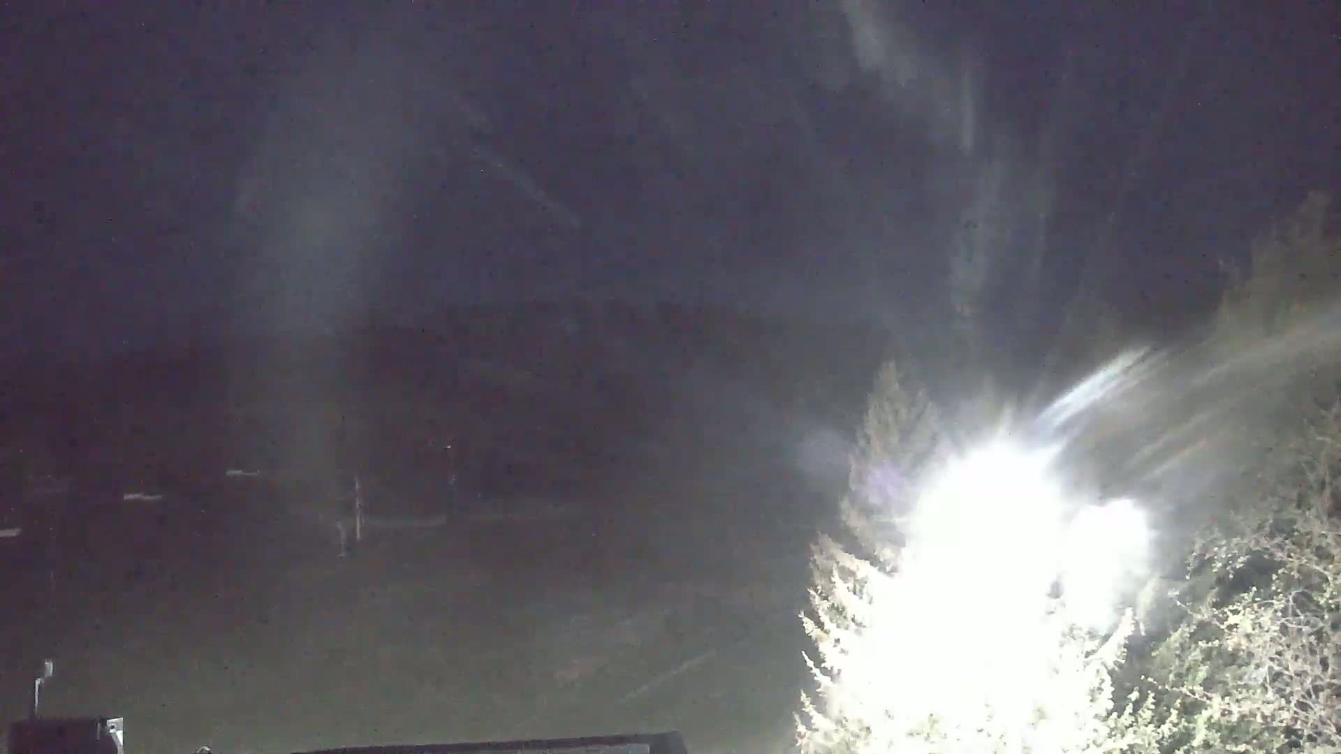A bright light illuminates snow falling at night, partially obscuring trees and a dark landscape.