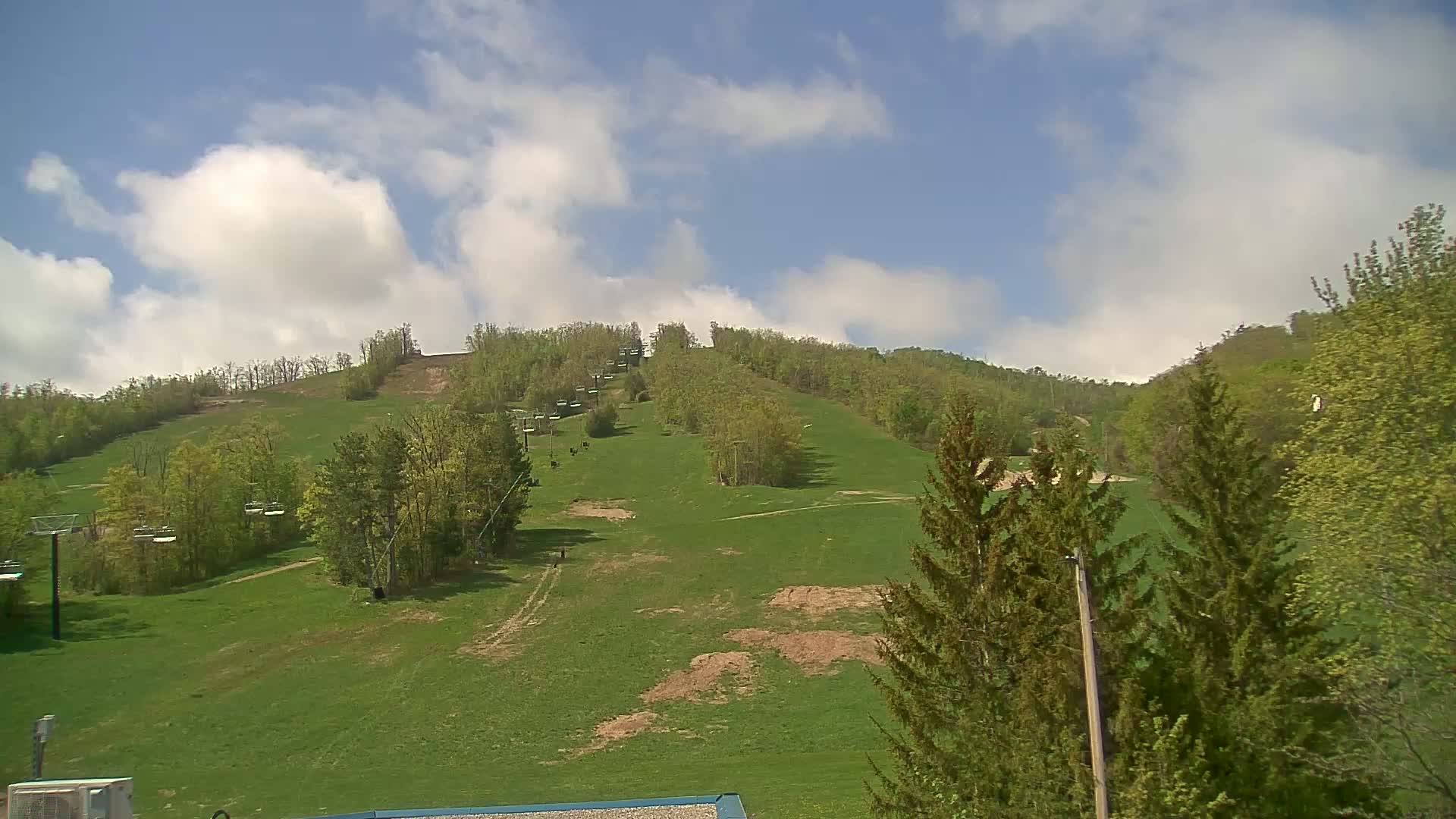 A grassy hillside with sparsely placed trees and empty chairlifts under a partly cloudy blue sky.