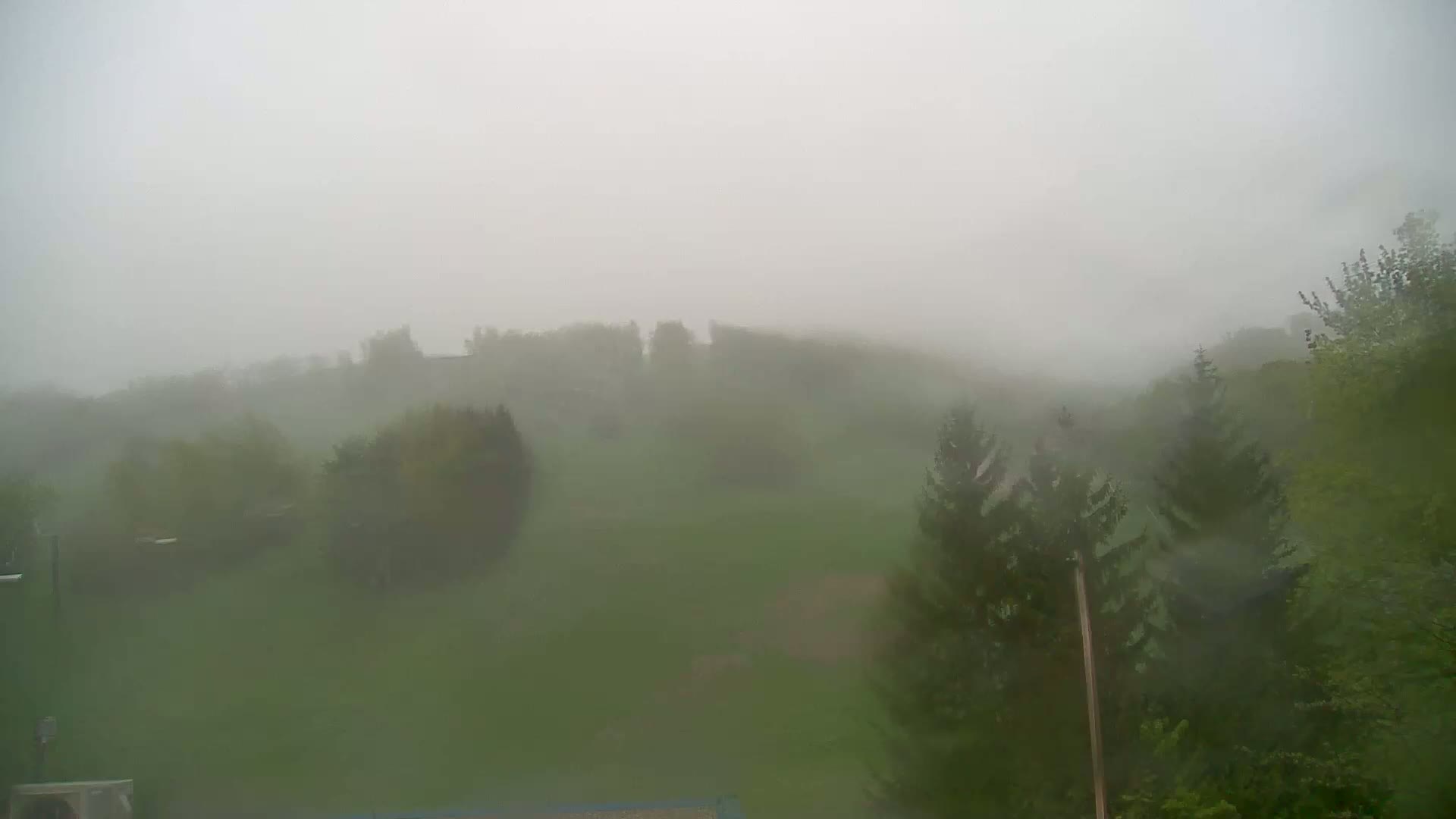 A foggy, rainy scene shows a green hillside with scattered trees and shrubs.