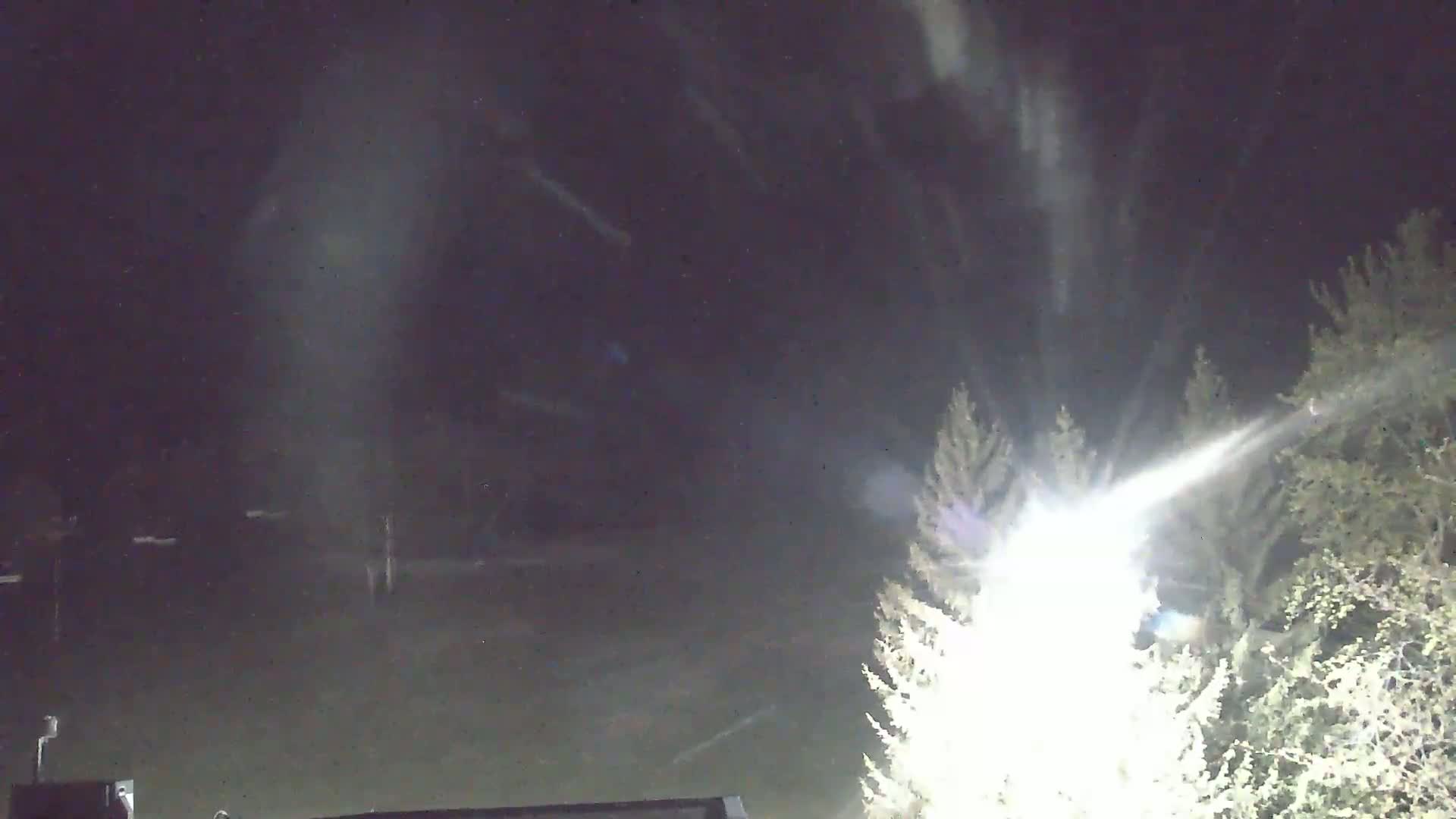 A bright light shines through trees at night, illuminating snow falling in the dark sky.
