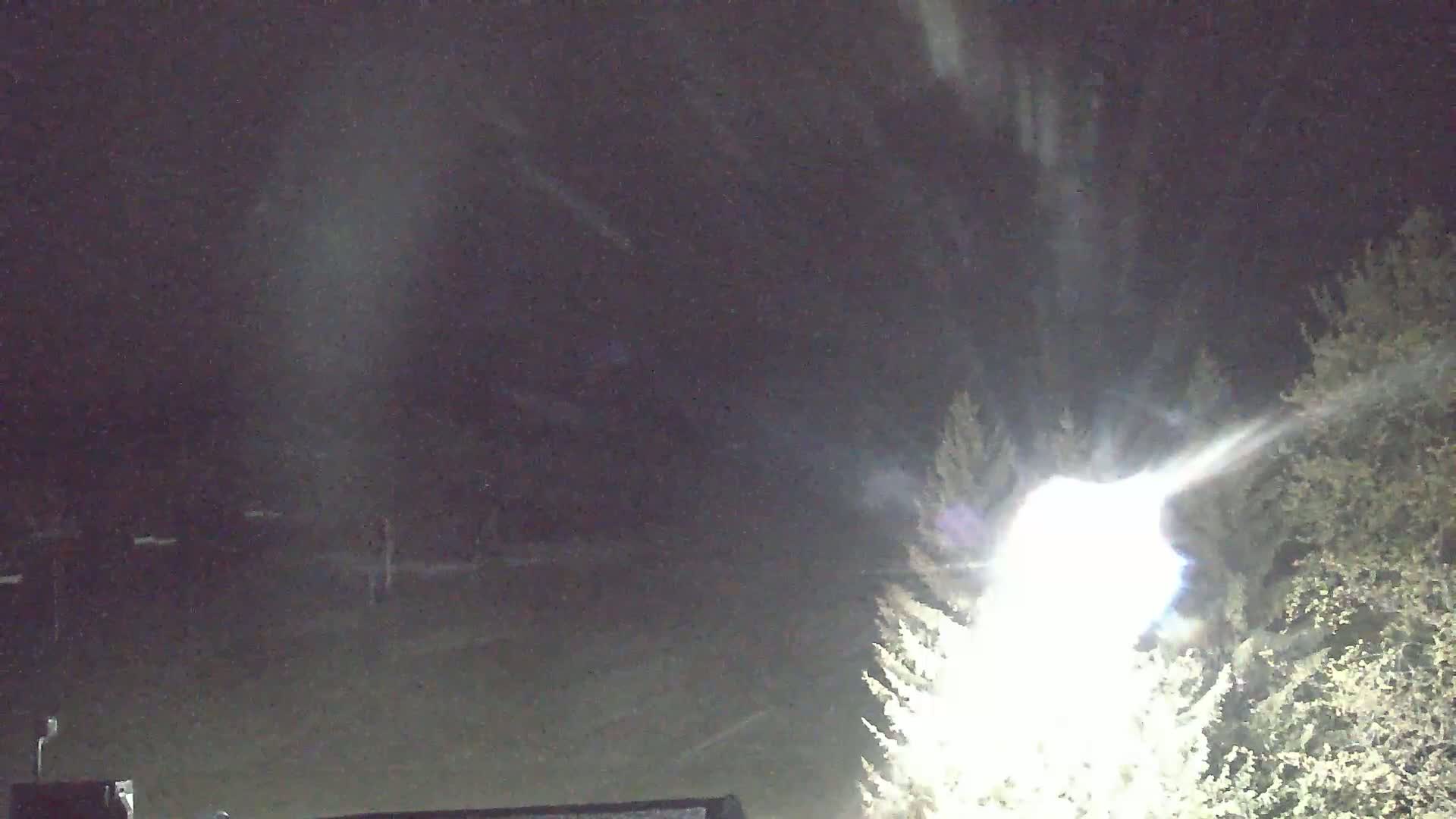 A bright light shines through trees at night, illuminating a dark, open area with faint objects in the distance under a hazy sky.