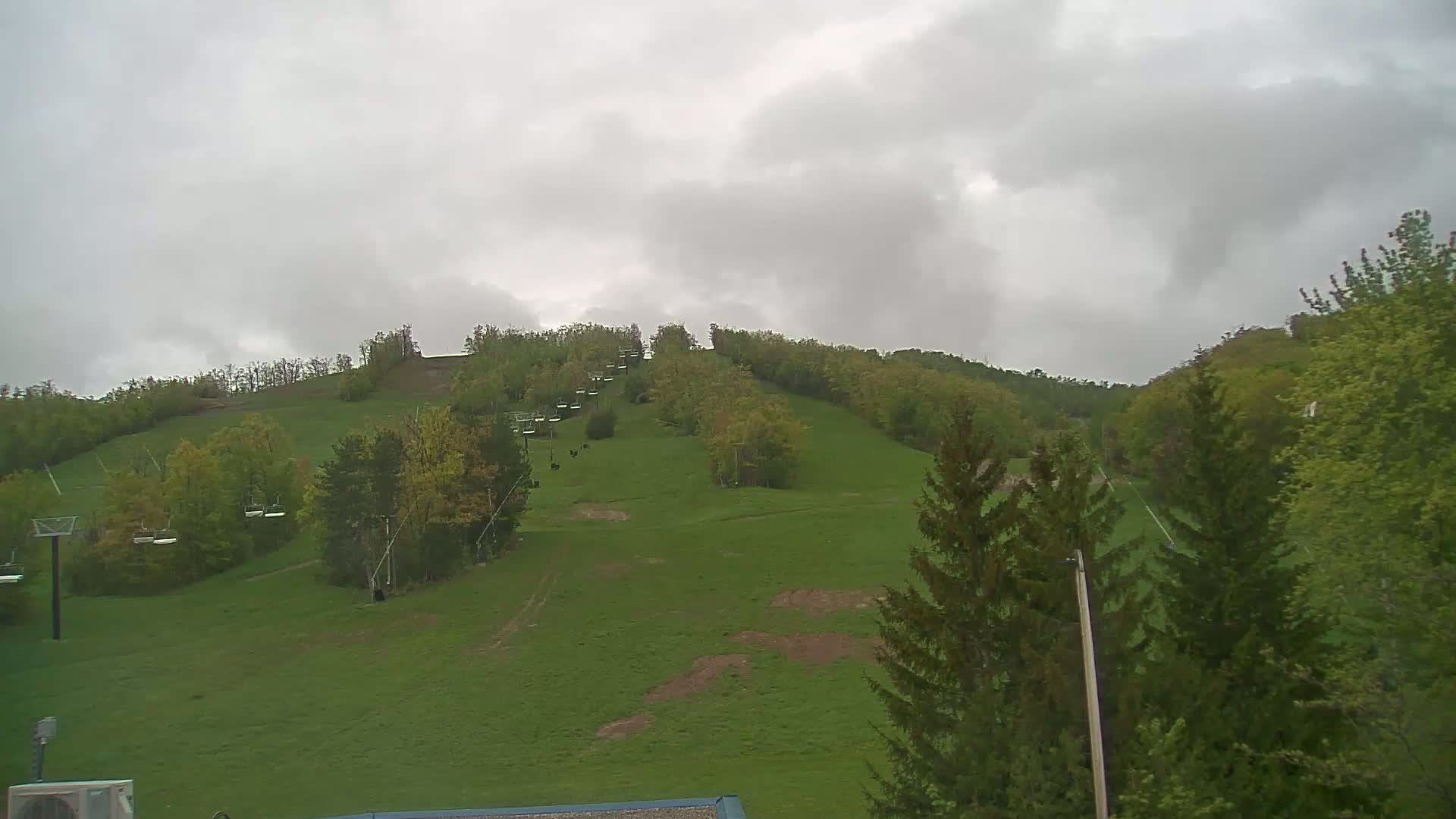 A grassy hill with a chairlift and trees under an overcast sky.