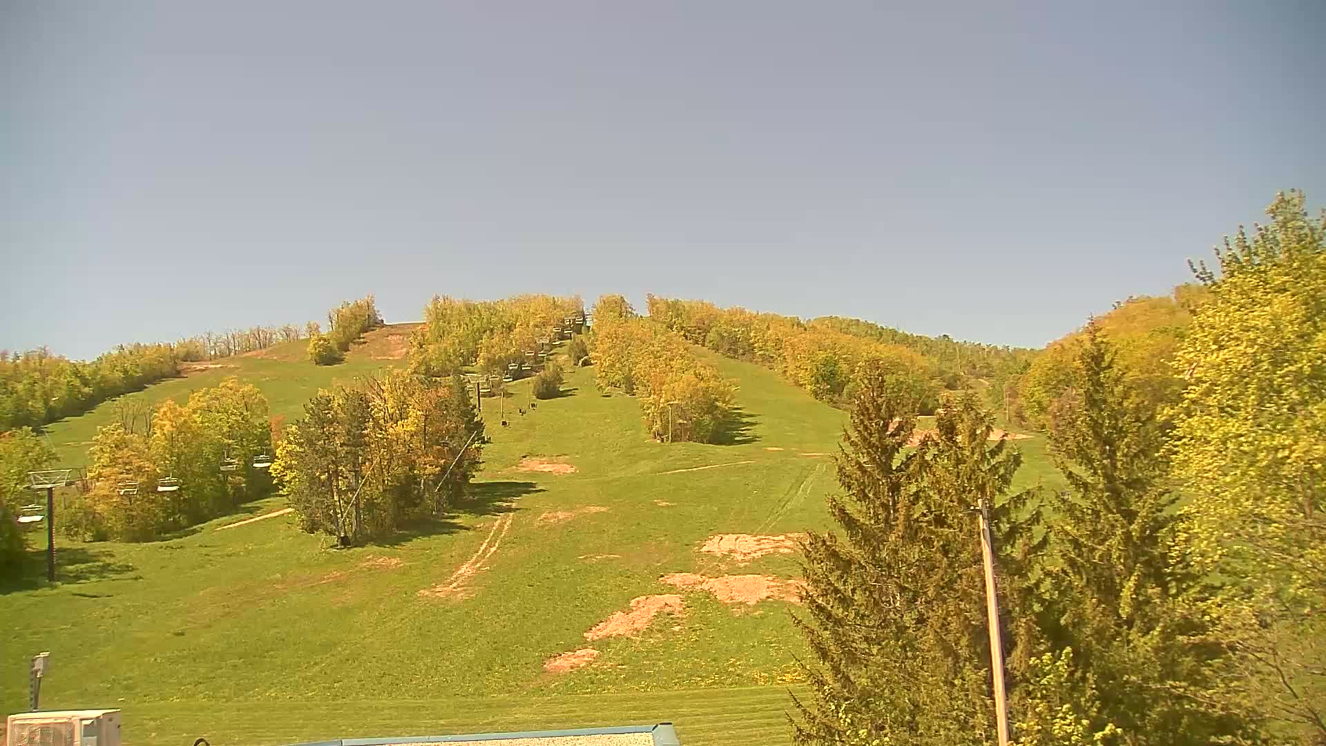 A grassy hillside with sparsely placed trees and a chairlift, under a clear blue sky.