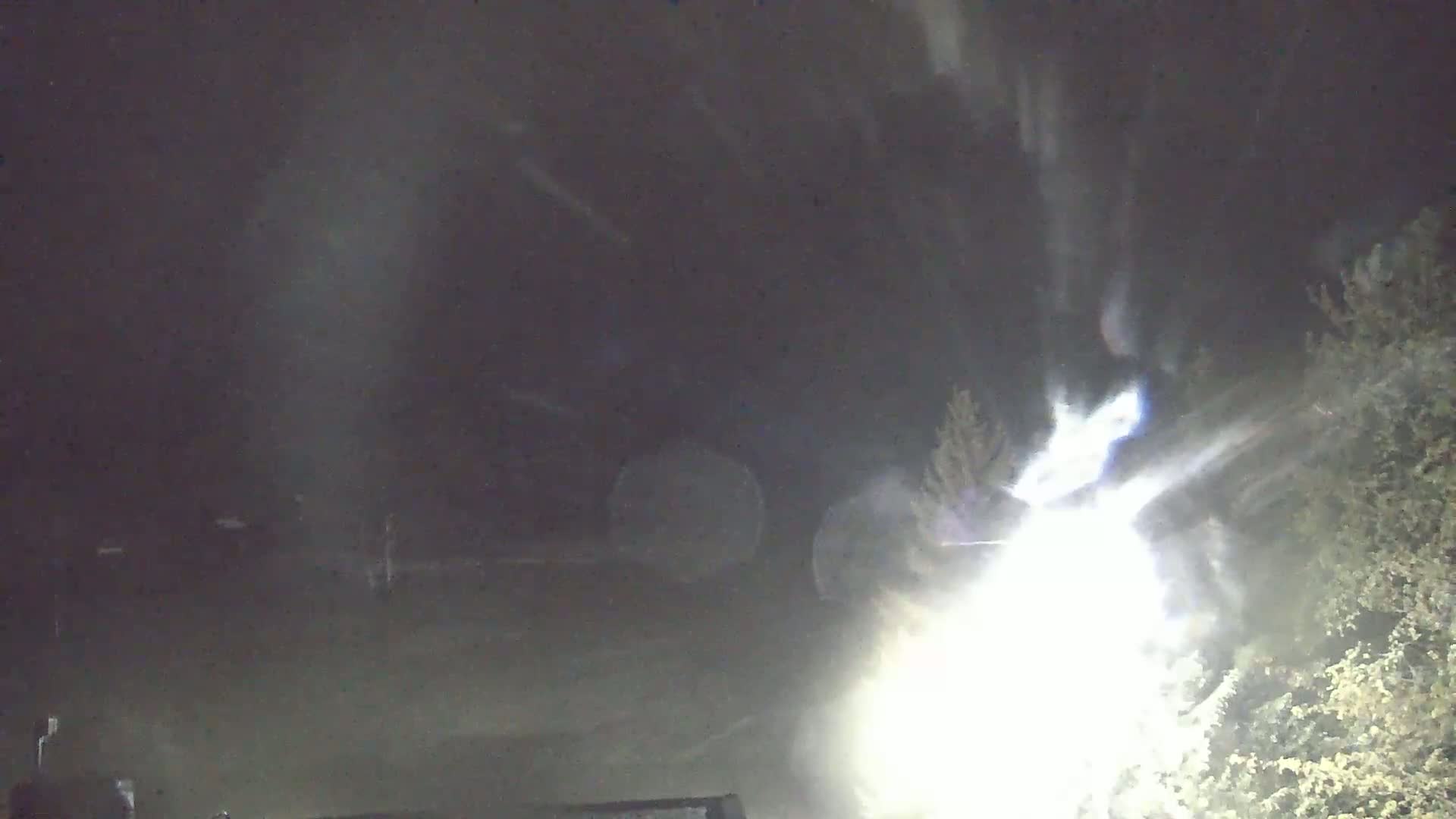A bright light shines through heavy snow at night, illuminating nearby trees.