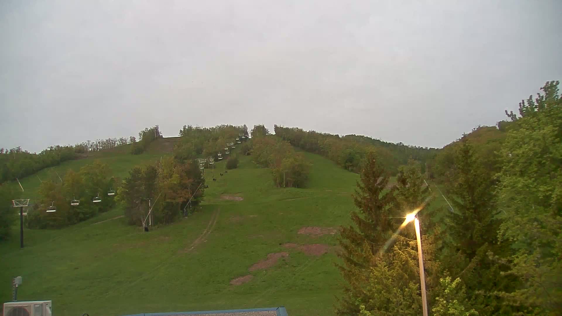 A grassy hillside with a chairlift and trees under an overcast sky.