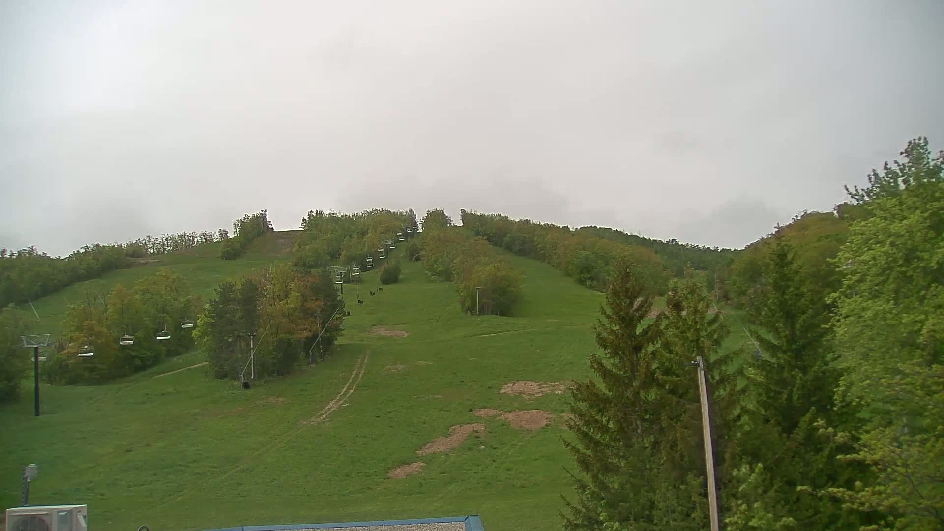 A grassy hill with a chairlift and scattered trees under an overcast sky.