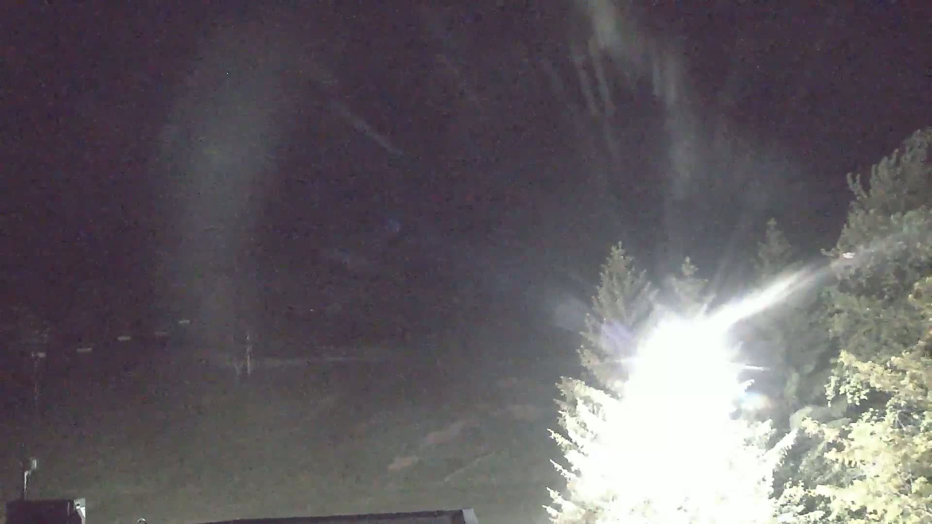 A bright light shines through snow falling at night, illuminating evergreen trees in the foreground and a dark, flat expanse in the background.
