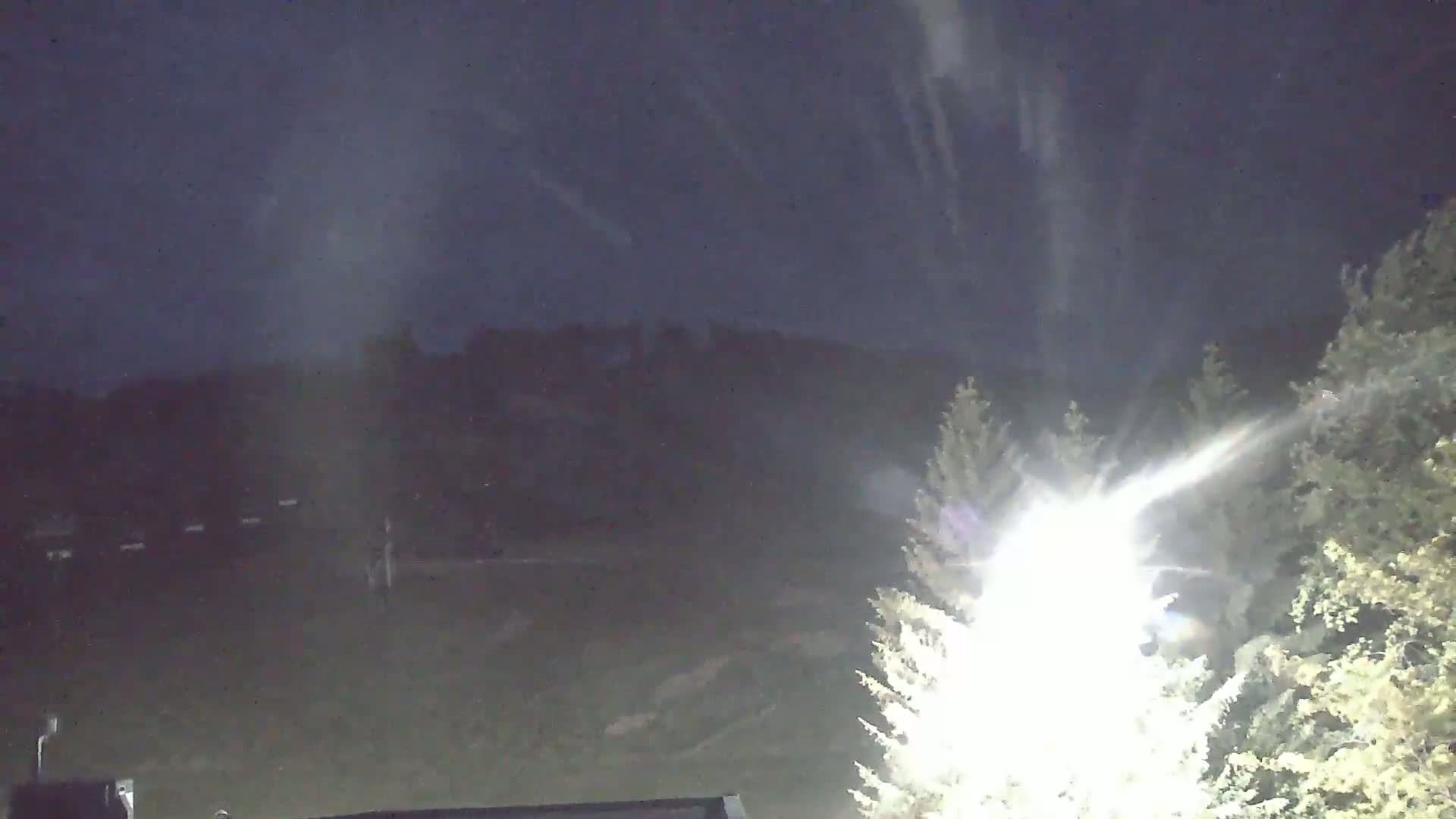 A nighttime scene of snow falling over a dark landscape of trees and a field, illuminated by a bright light source.