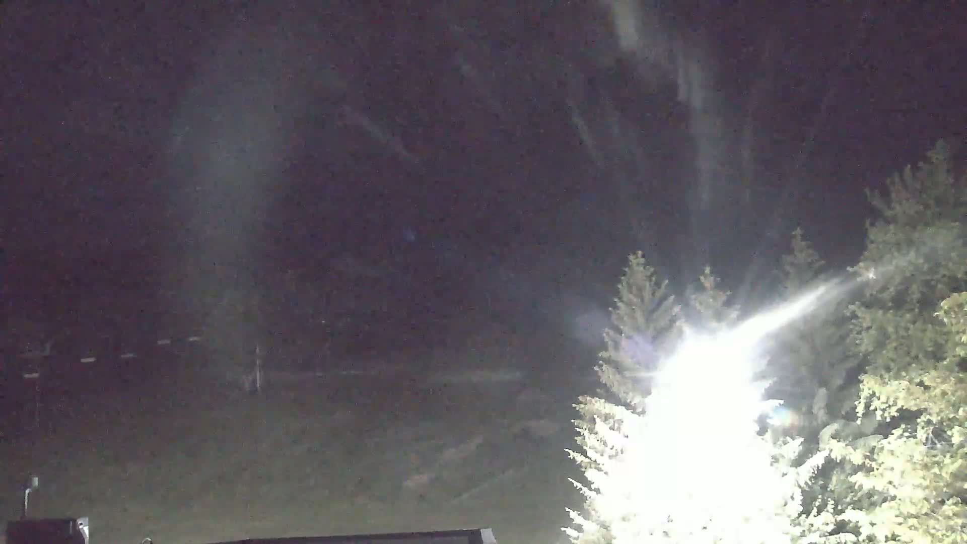 A nighttime scene of snow falling over a flat, dark area with evergreen trees in the foreground illuminated by a bright light source.