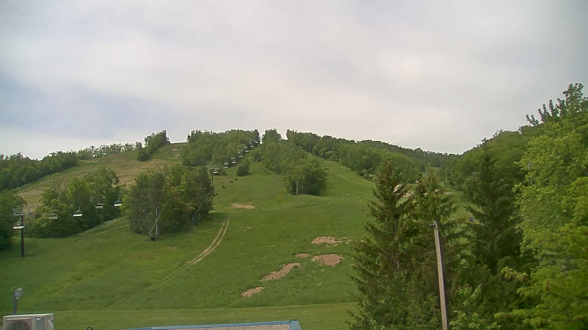 A grassy hill with a chairlift and trees under an overcast sky.