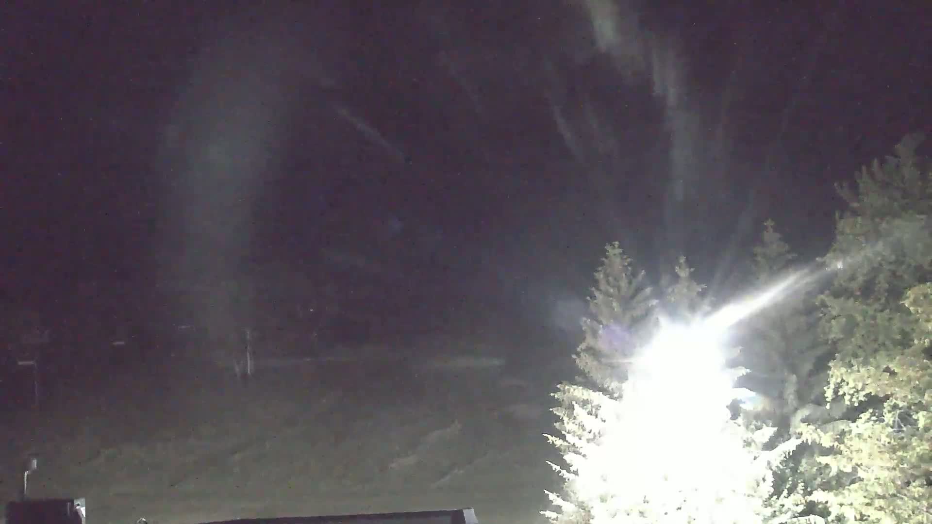 A nighttime scene of snow falling, illuminated by a bright light source near some evergreen trees.