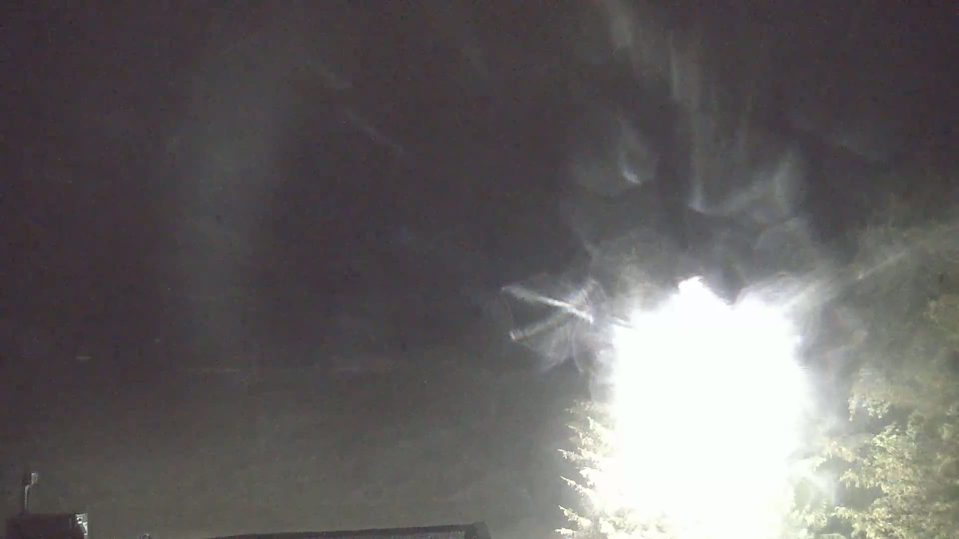 A bright light shines through a hazy, snowy night sky behind some trees.