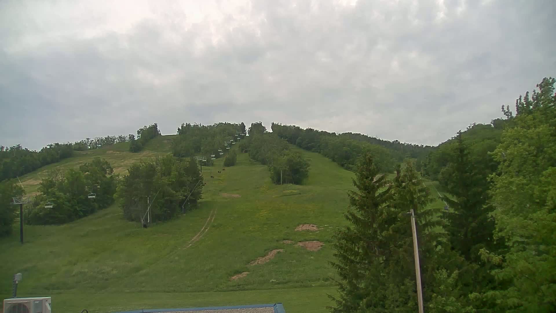 A grassy hill with a chairlift and trees under an overcast sky.