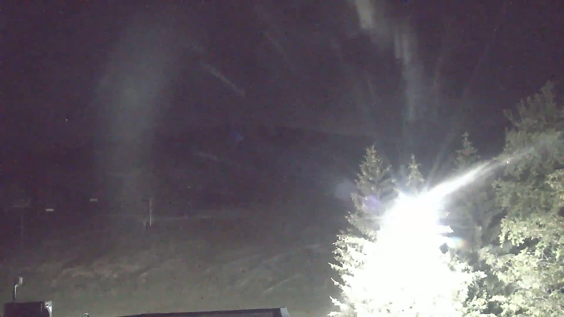 A nighttime scene of snow falling over a dark landscape, illuminated by a bright light source near some evergreen trees.