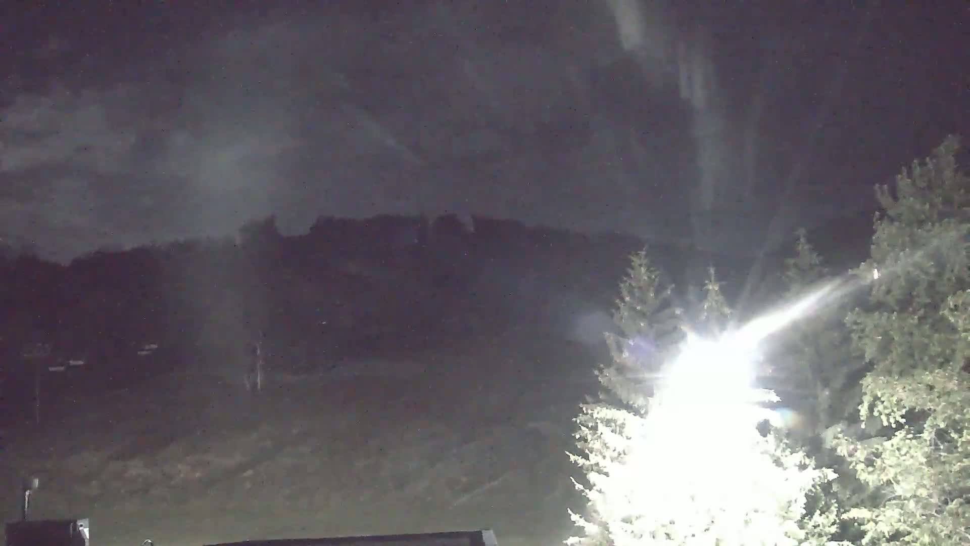 A nighttime scene shows a bright light shining on evergreen trees in the foreground, with a dark, overcast sky and distant, indistinct trees in the background.