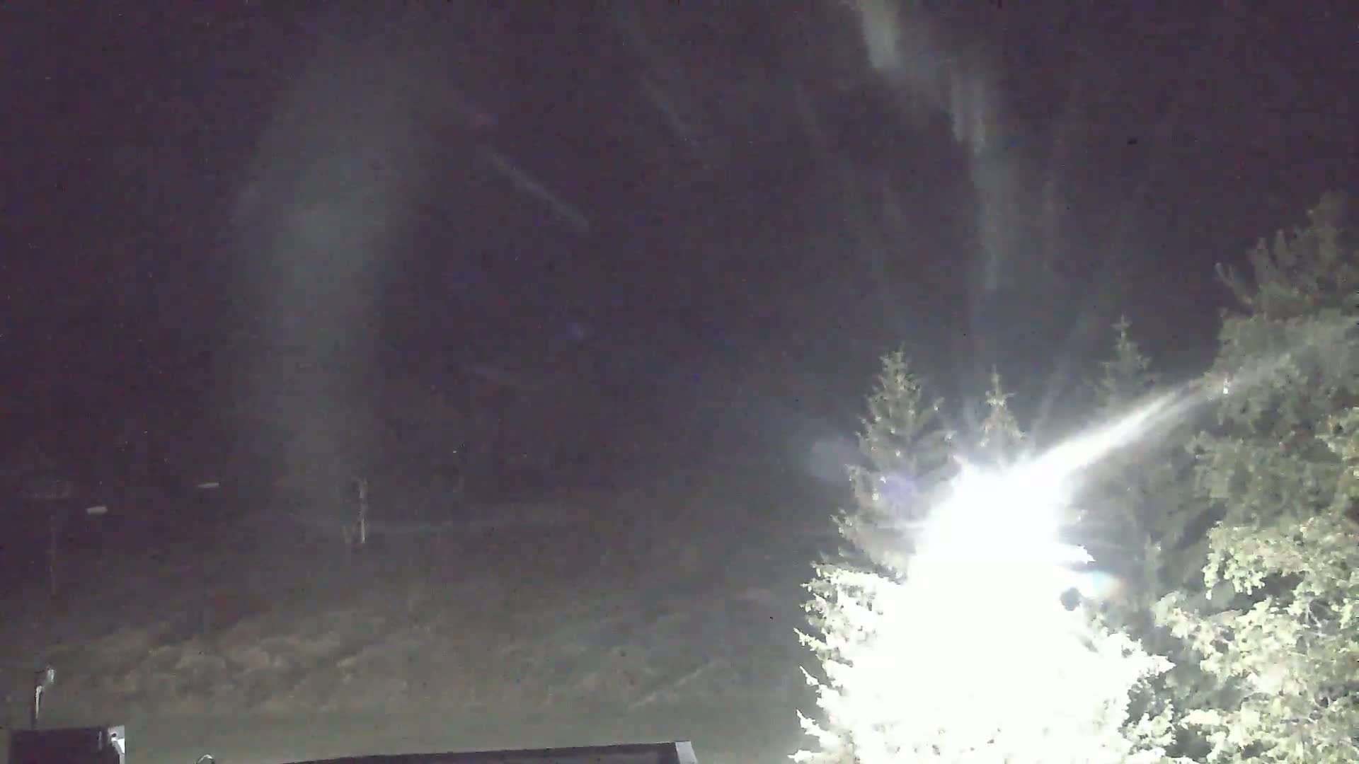 A bright light shines through snow falling at night, illuminating evergreens in the foreground and a dark, indistinct background.