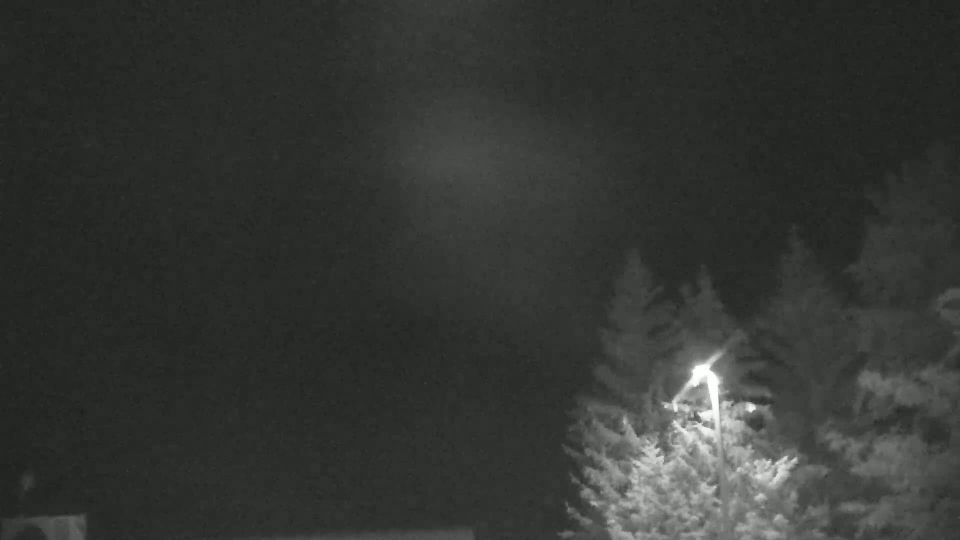 A bright light shines through snow falling at night, illuminating evergreens in the foreground and a dark, indistinct background.