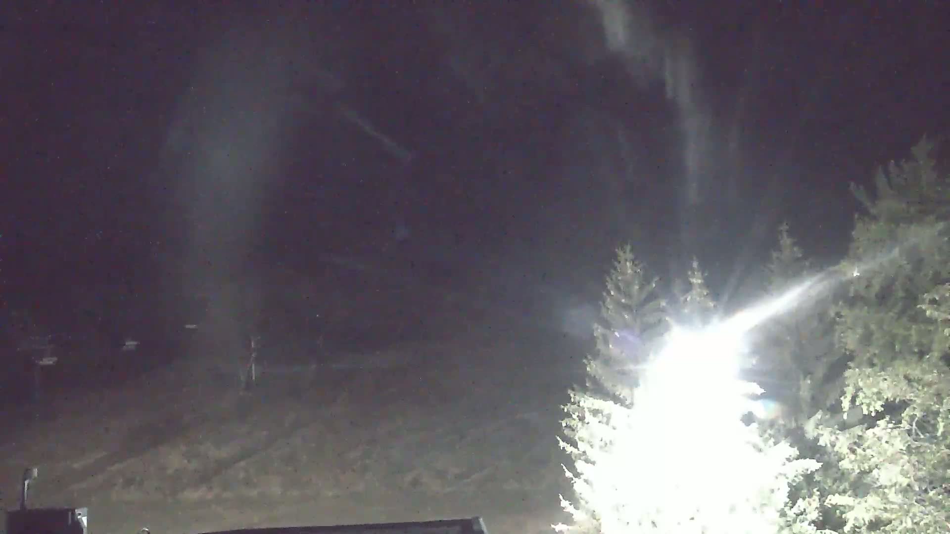A bright light shines through snow falling at night, illuminating evergreens in the foreground and a dark, indistinct background.