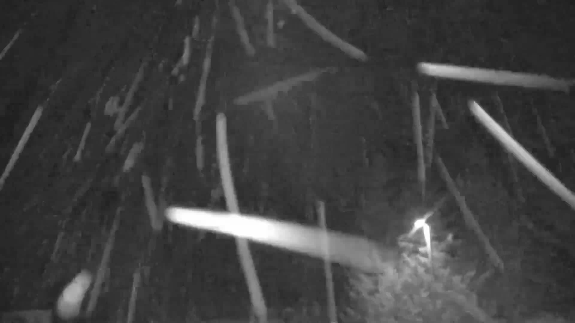 Blue Mountain Valley Base Ski Slopes Live Cam - Collingwood, Blue Mountains, Simcoe, Ontario, Canada