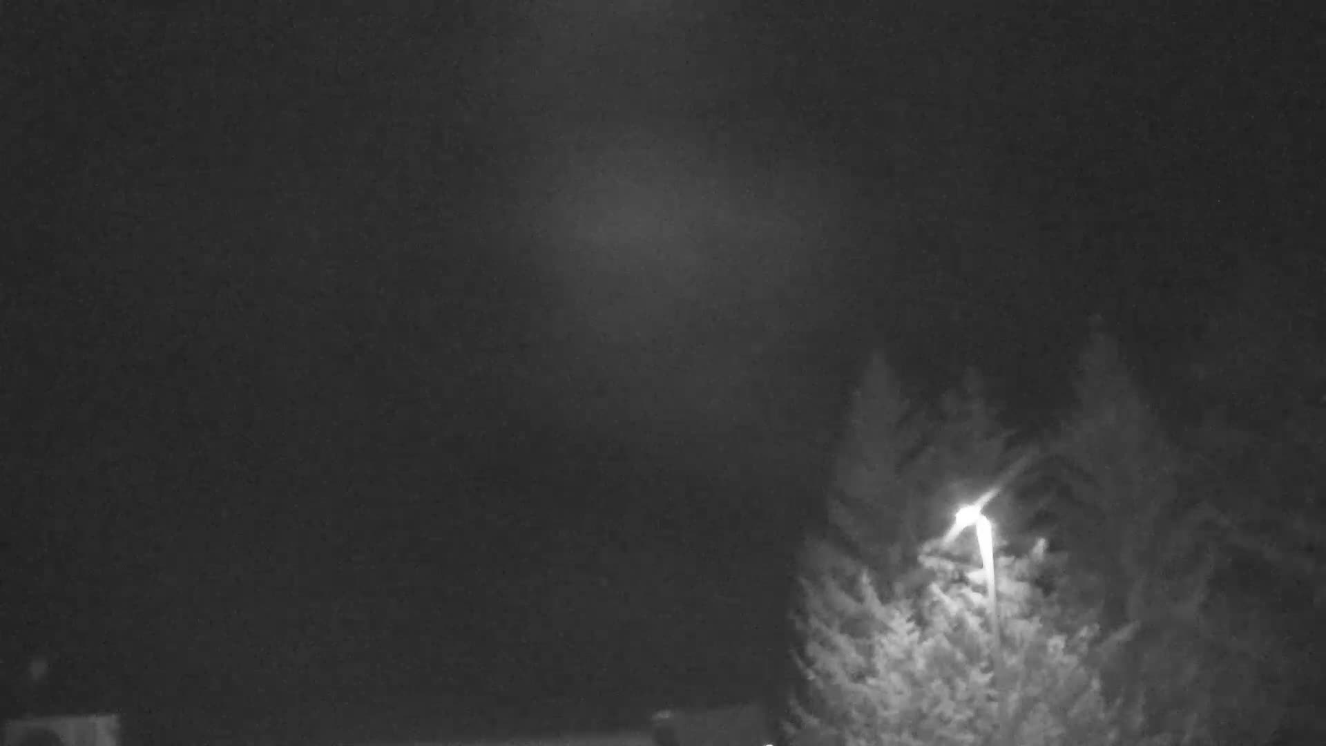 A bright light shines through snow falling at night, illuminating evergreens in the foreground and a dark, indistinct background.