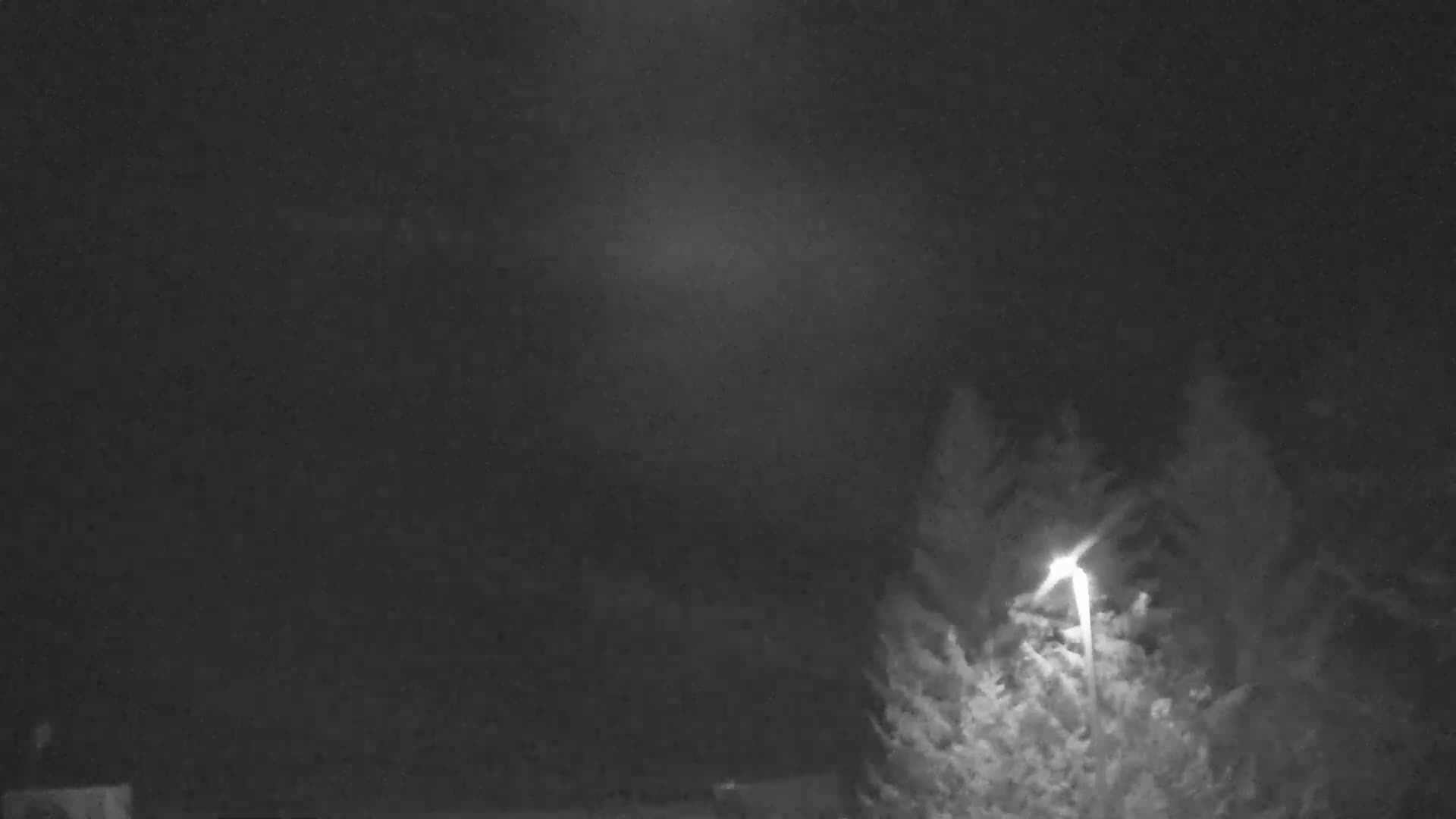 A cloudy night scene reveals a bright streetlamp illuminating dense pine foliage on the right, with a faint, diffuse glow visible in the dark, overcast sky.