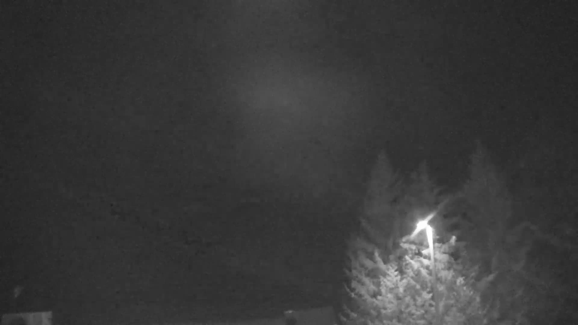 A monochromatic outdoor nighttime scene depicts a bright street light illuminating dark coniferous trees on the right under a dim, possibly hazy sky.