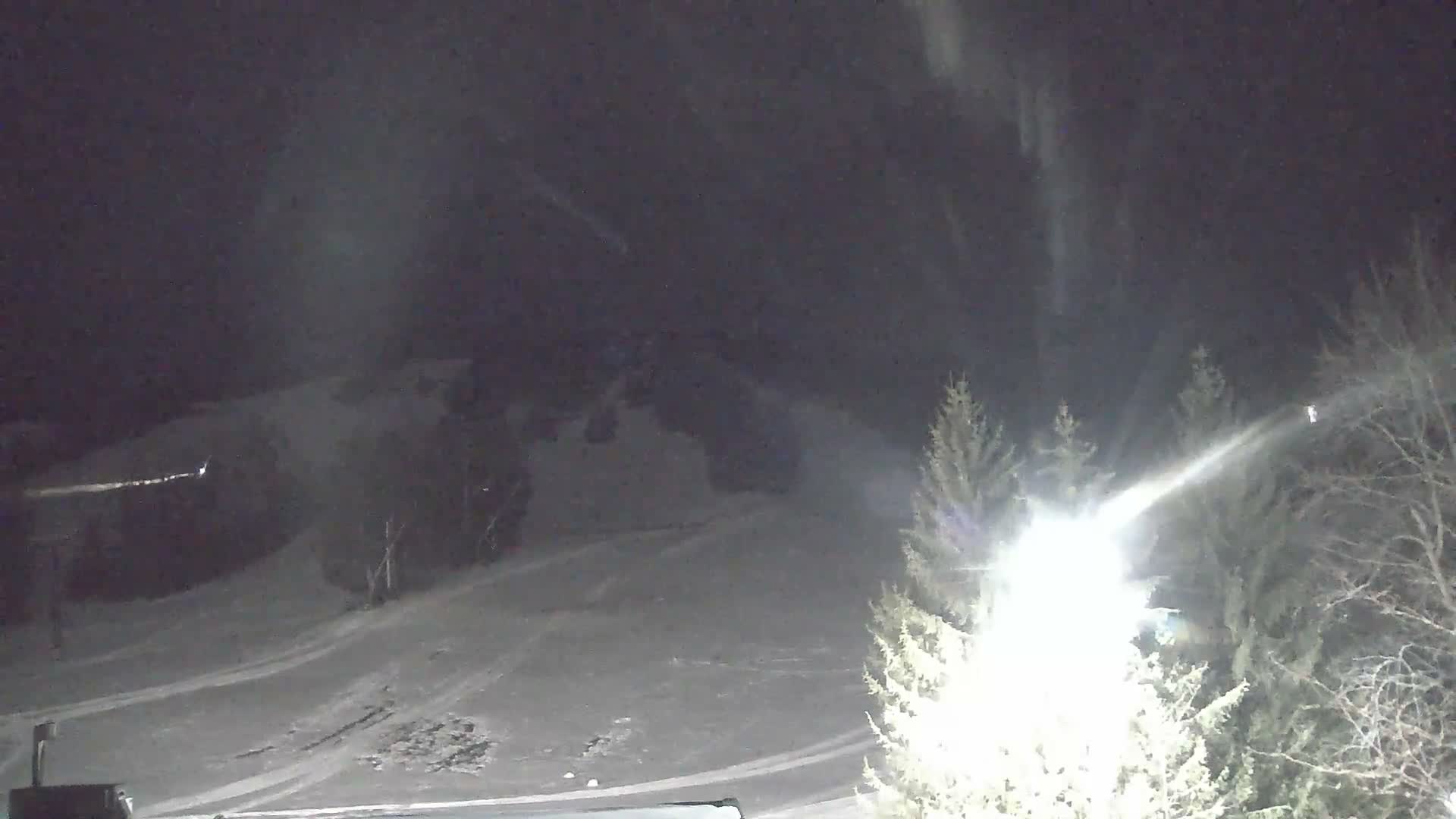 A snowy ski slope is visible at night, illuminated by a bright light source on the right amidst evergreen and bare trees, with what appears to be active snowfall.