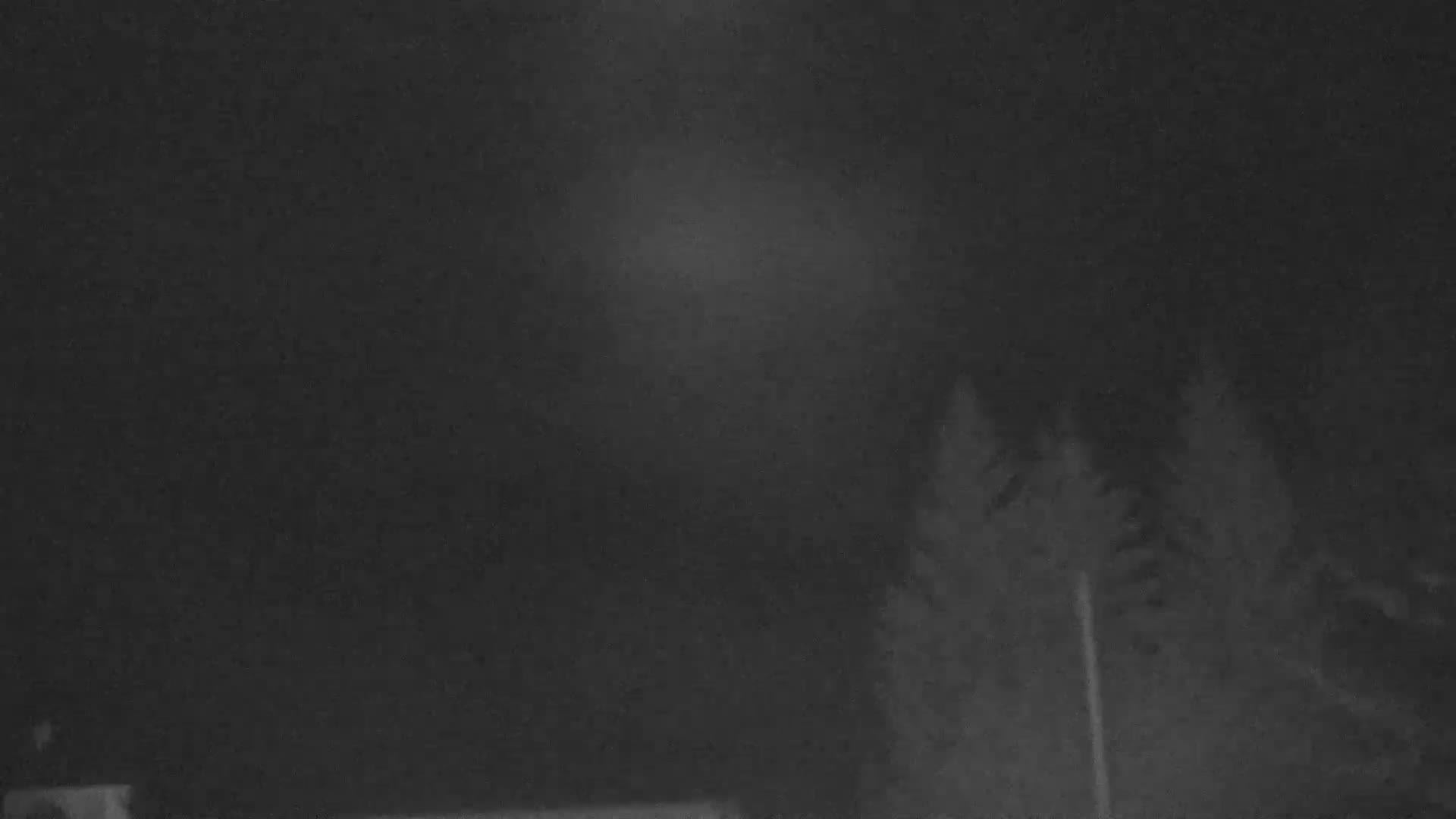 Blue Mountain Valley Base Ski Slopes Live Cam - Collingwood, Blue Mountains, Simcoe, Ontario, Canada