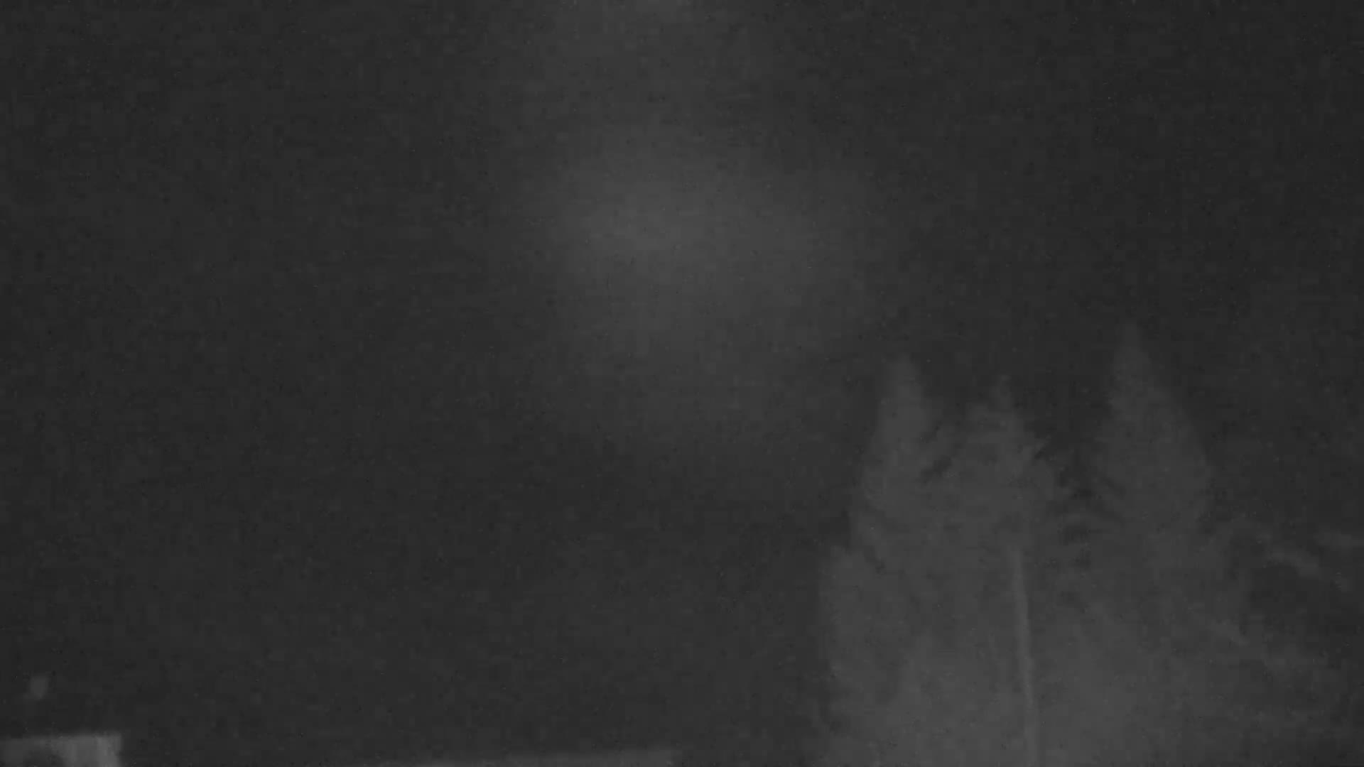 Blue Mountain Valley Base Ski Slopes Live Cam - Collingwood, Blue Mountains, Simcoe, Ontario, Canada