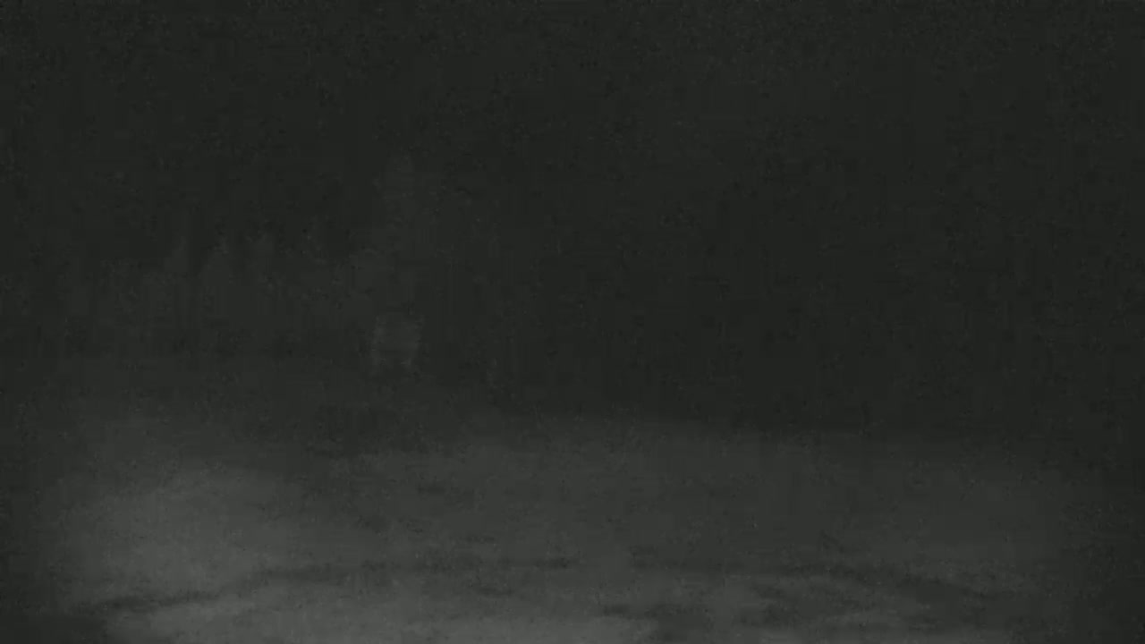 A blurry, dark image shows indistinct figures standing in what appears to be heavy snow at night.