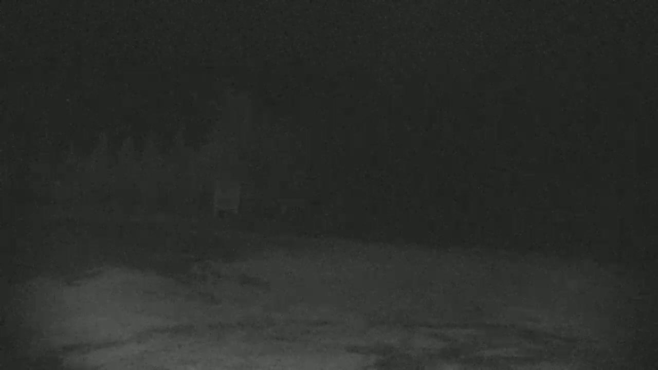 A blurry, nighttime image shows indistinct dark shapes that may be trees and buildings in the distance, with a snow-covered ground in the foreground.
