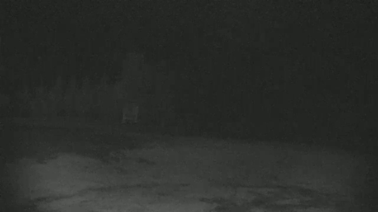 A blurry figure stands in front of a dark, indistinct background at night.