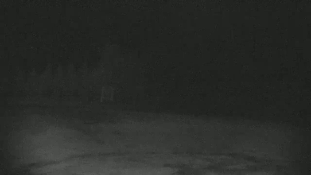 A dark, blurry image shows indistinct shapes suggesting trees in the background and a snowy or icy ground in the foreground under a nighttime sky.