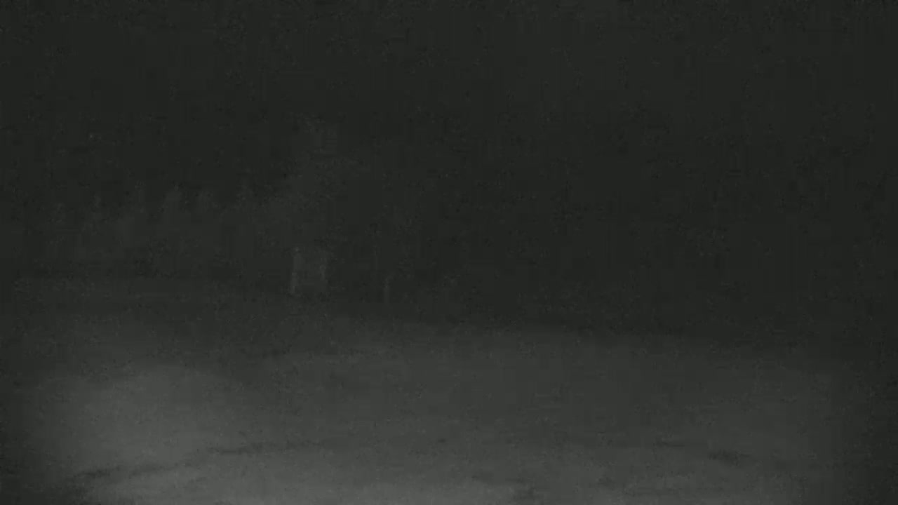 A blurry, dark nighttime image shows indistinct shapes that might be trees or structures in the distance.