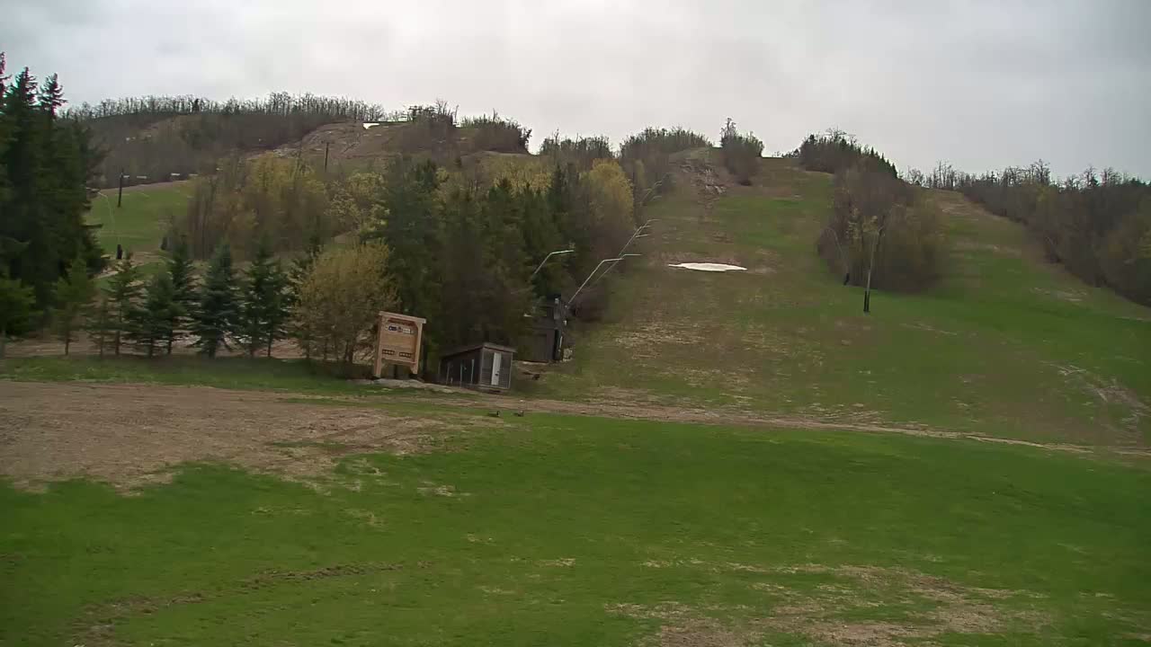A grassy ski hill with a small remaining patch of snow, a lift, and a small building is visible under an overcast sky.