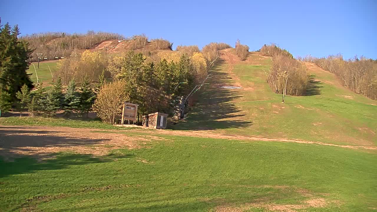 A grassy ski slope with a small building and a lift, under a clear blue sky.