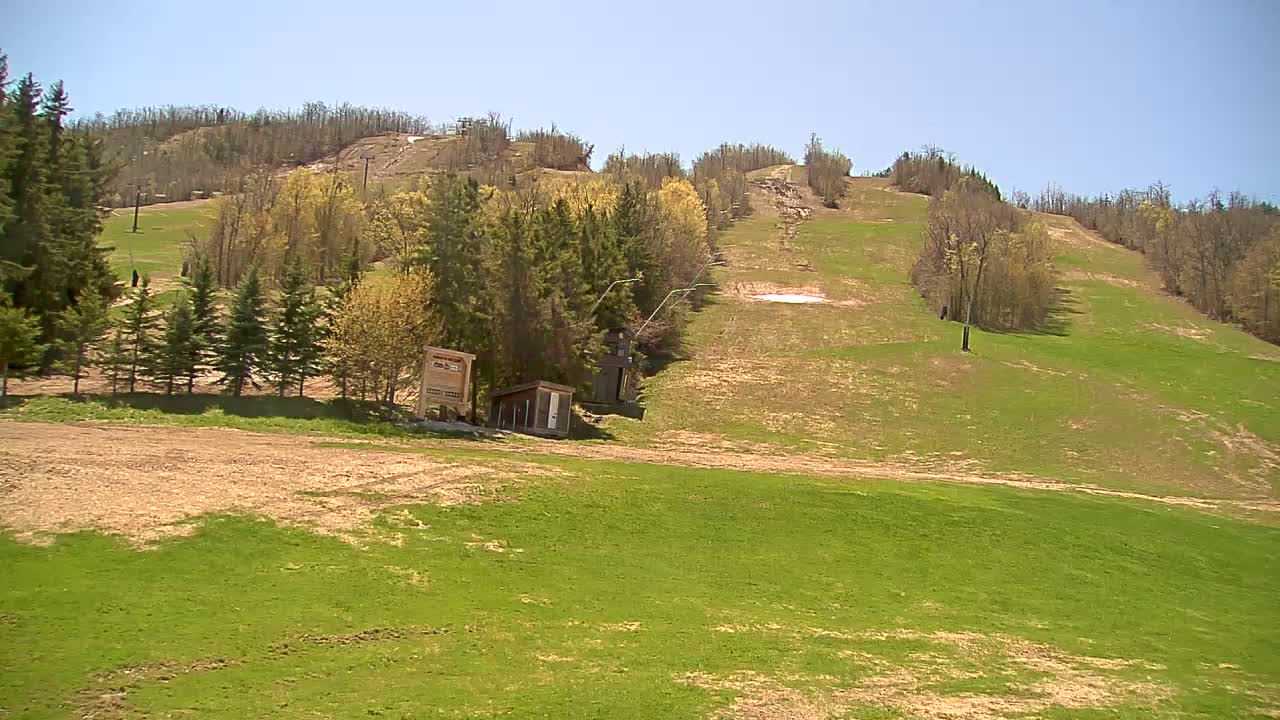 A grassy ski slope with a small building and a lift, under a clear blue sky.