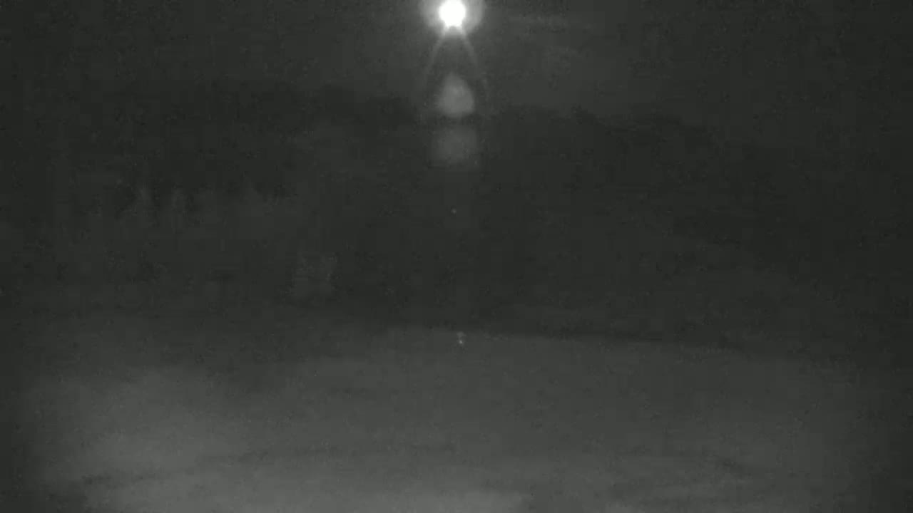 A bright light shines down on a dark, snow-covered ground with a blurry background of trees under a night sky.