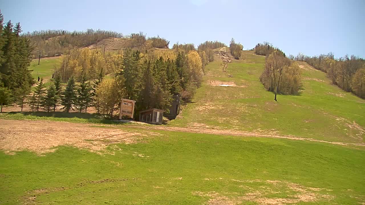 A grassy hillside, sparsely populated with trees, features a ski slope and small structures under a clear, sunny sky.
