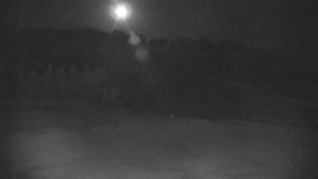 A bright moon illuminates a dark, tree-lined area at night.