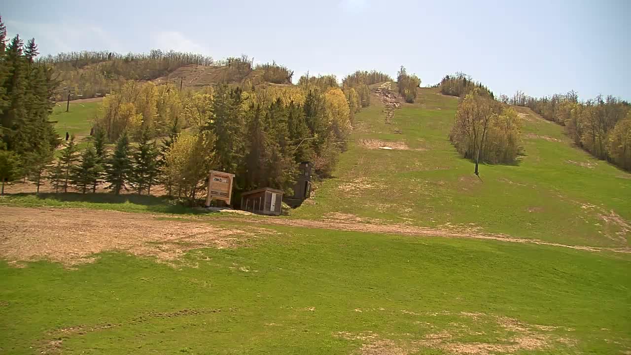 A grassy hillside with a ski lift visible, a small building, and trees under a sunny sky.