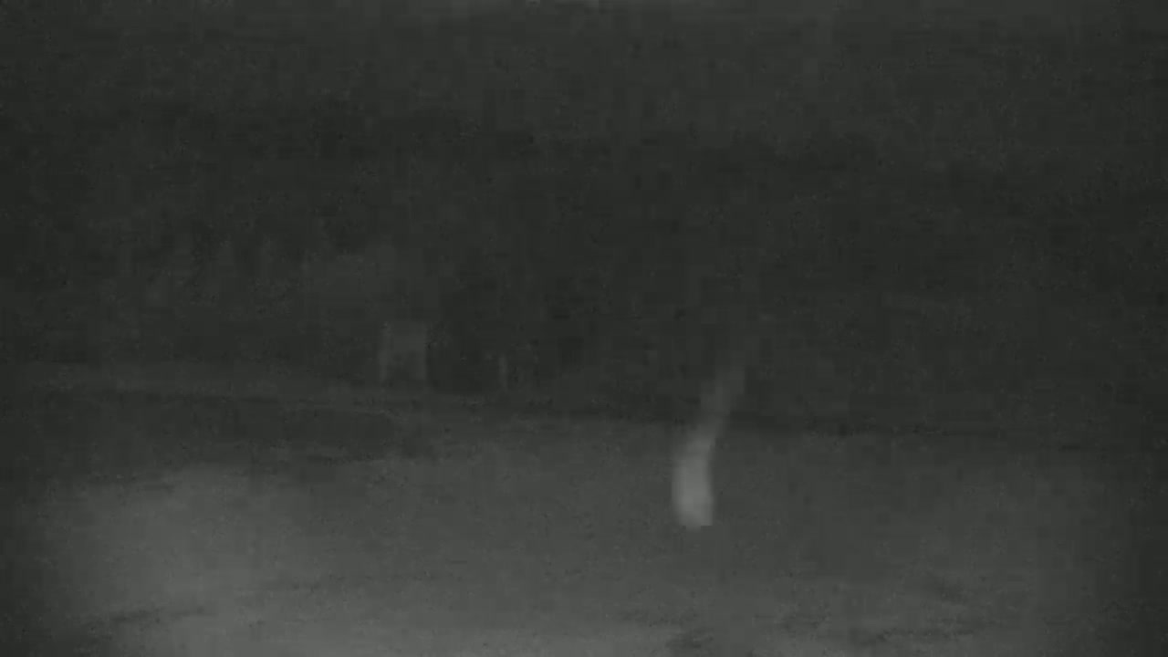 A blurry, dark image shows an indistinct figure standing in a dimly lit, outdoor area at night.