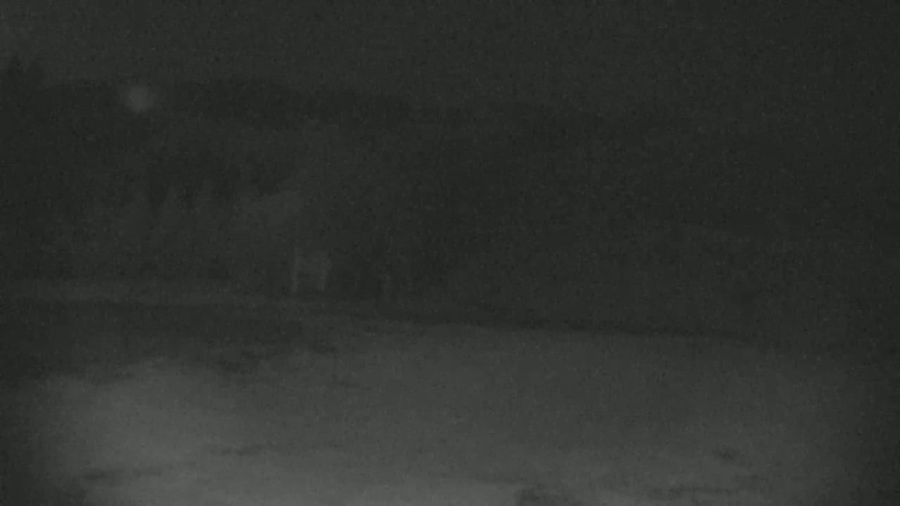 A low-light image shows indistinct shapes suggesting trees and possibly animals in a dark, nighttime outdoor setting.