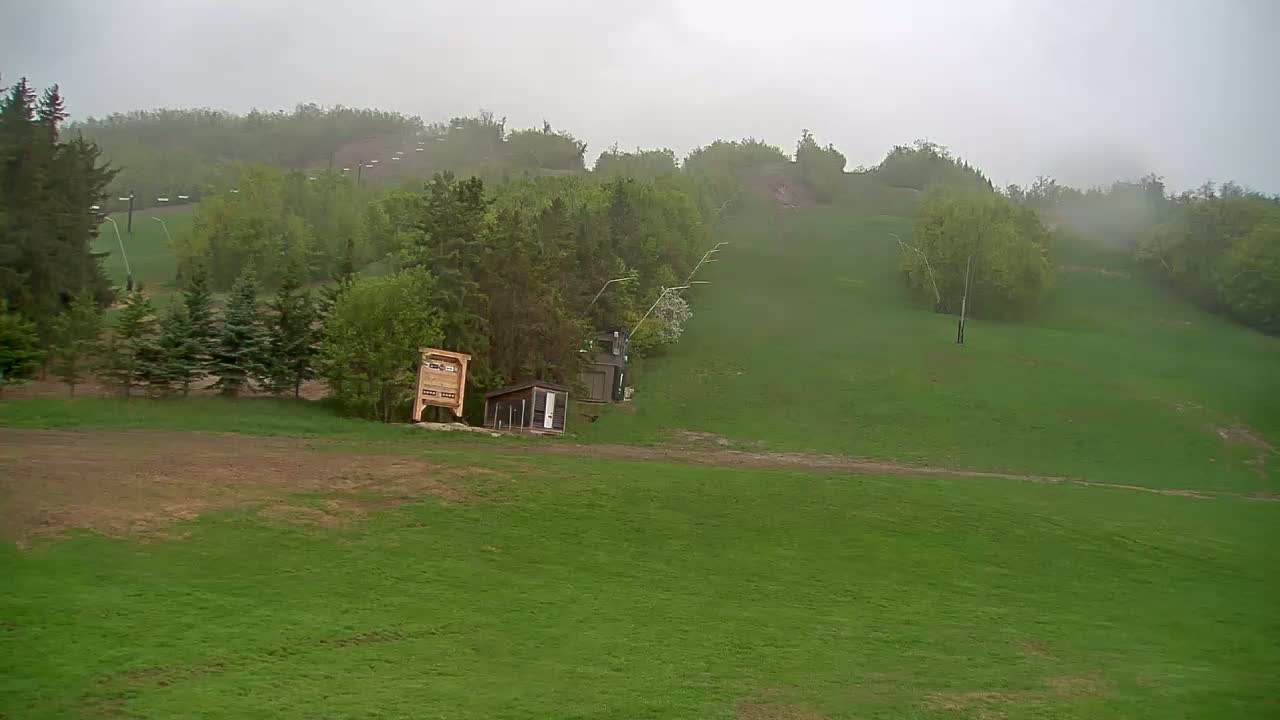 A grassy hillside with a few small buildings and trees, under a foggy, overcast sky.