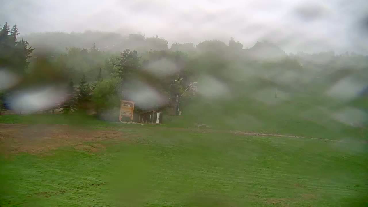 Rain falls on a grassy field and forested hillside, obscuring the view with water droplets on a window or lens.