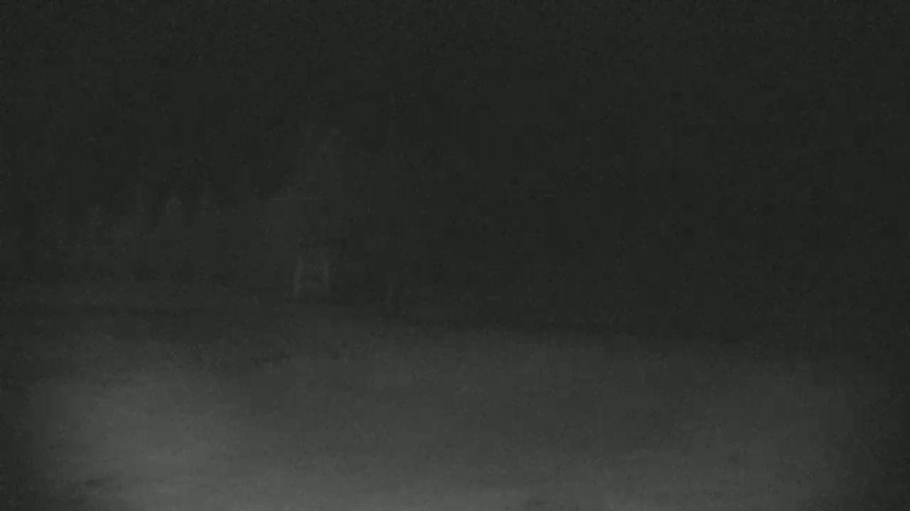 A blurry, dark image shows indistinct shapes in the distance that appear to be trees or bushes at night.