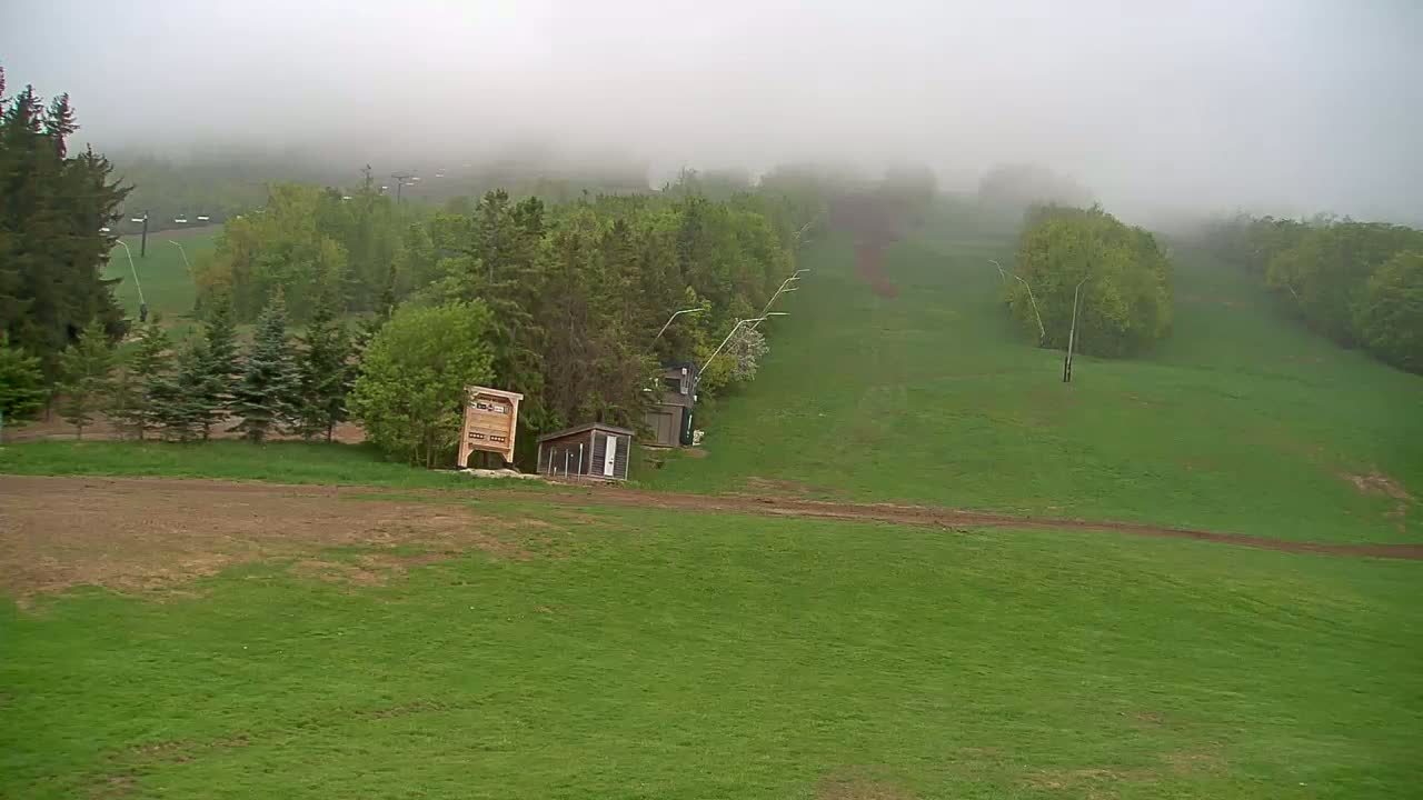 A foggy hillside covered in green grass and trees, with a small building and a sign near the bottom.