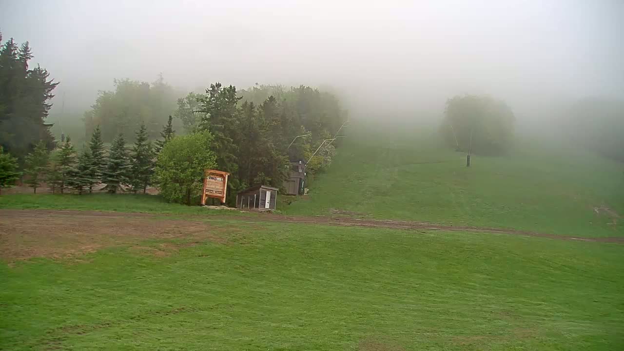 A grassy hillside, shrouded in fog, features a small building and several evergreen trees near a dirt path.